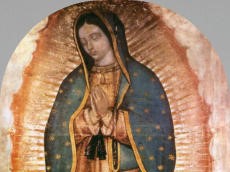 Image for Consecration to Jesus Through Mary on Dec. 12, 2024