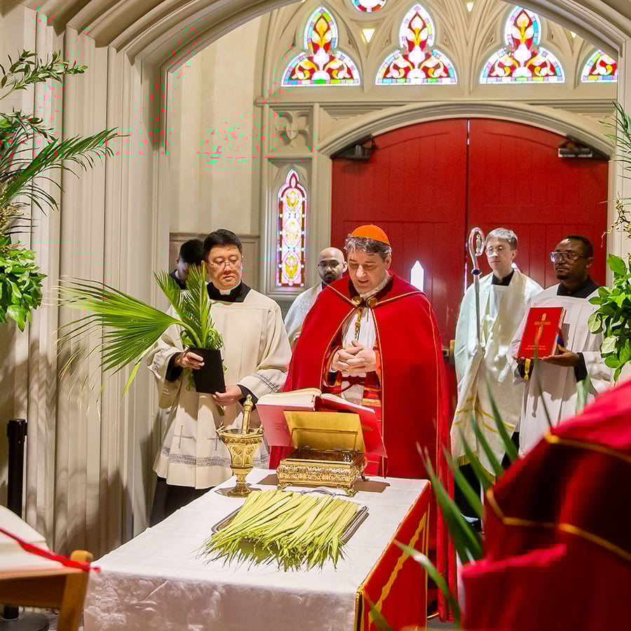 Palm Sunday